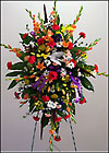 /images/DFI47lg.jpg Vibrant Easel Spray
