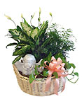 Dish Garden Basket with Angel