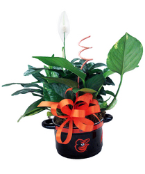 DFP327 Oriole Bowl w/Plants  