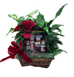 DFP739 Dish Garden w/Family Mouse Carolers  