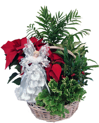 DFP746 Handle Basket w/foliage and poinsettia & Angel Topper 