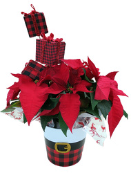 DFP874 Red Gingham Santa Pot Cover w/ Poinsettia Plant 
