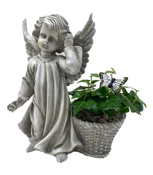 DFP938 Angel w/basket and ivy plant 