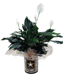 DFPA5 Army Tin Container w/Peace Lily 