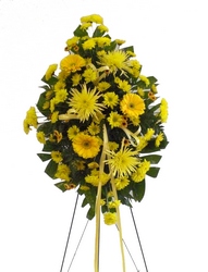 DFS268 Standing Spray 