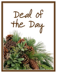 TMF-DODW Deal of the Day - Winter 