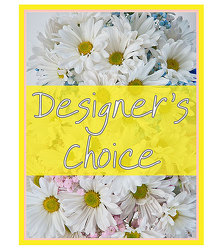 TMF-DCNB Designers Choice - New Baby
