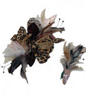 /images/HARD_ROCKlg.jpg P59 Hard Rock Corsage