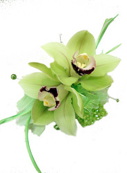 P51 Stephanotis Corsage 