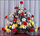 Carnation and Daisy Basket