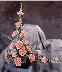 Contemporary Carnations