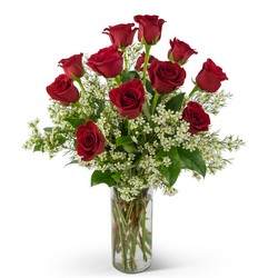 TMF-273 Swoon Over Me Dozen Red Roses 