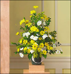 Daisy Sympathy Vase