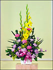 Yellow and Violet Mache