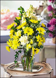 Vase of Daisies 