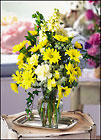 Vase of Daisies 