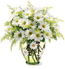 /images/telwhite03/07E100lg.jpg Teleflora's Crazy for Daisies Bouquet