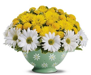 Daisy Colander Bouquet
