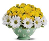 Daisy Colander Bouquet