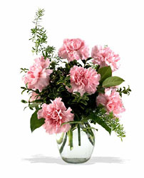 TF-F2 Pink Notion Vase 