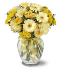 /images/telwhite03/TF-WEB141lg.jpg Sweet Sunshine