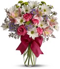 /images/telwhite03/TF-WEB511lg.jpg Pretty Please