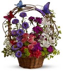 /images/telwhite03/TF-WEB513lg.jpg Dancing Butterflies