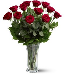 TF31-1 Red Roses 