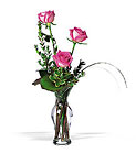 Three Pink Roses