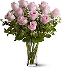 Pink Roses