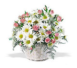 /images/telwhite03/tf48-3lg.jpg Sweet & Petite Basket