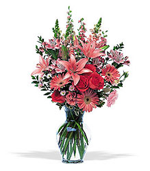 Marvelous Pinks