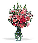 Marvelous Pinks