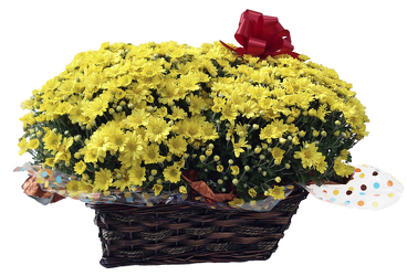 420000765487 Fall Garden Mum Plant in Basket  