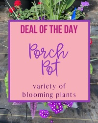 Deal of the Day - porch Pot