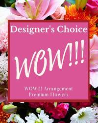 TMF-DC21WOW Designer's Choice - WOW! 