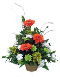 DFF Irish Eyes are Smiling Arrangement  