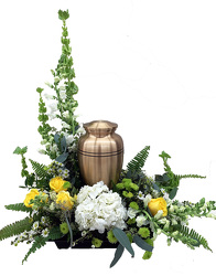 DFF602 Memorial Cremation Arrangement 