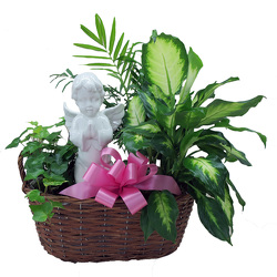 DPI15 Praying Angel Dishgarden  