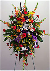 DFI47 Vibrant Easel Spray 