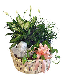 Dish Garden Basket with Angel  