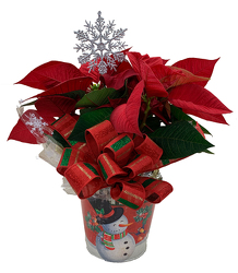 DFP283 Snowman Tin pot Cover w/Red Poinsettia Plant 
