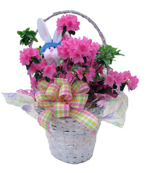 DFP359 Blooming Bunny Easter Basket  