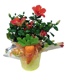 DFP425 Hibiscus Plant in Tin Pot Cover  