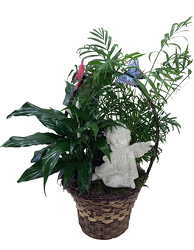 DFP826 Angel/Butterfly Dish Garden 