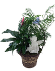 DFP826 Angel/Butterfly Dish Garden  