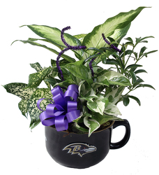 DFP875 NFL Raven Bowl Mug w/Foliage Plants  