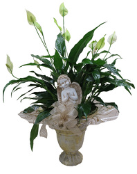 DFP925 Urn w/ cherub and Peace Lily Plant 