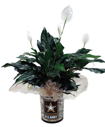 DFPA5 Army Tin Container w/Peace Lily  