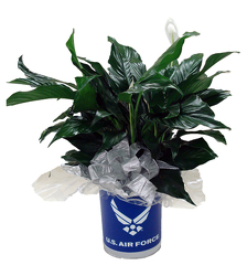 DFPF5 Air Force Tin container w/peace lily plant  